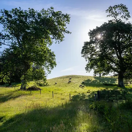 Estate Glamping Village Luxury tent Westport
