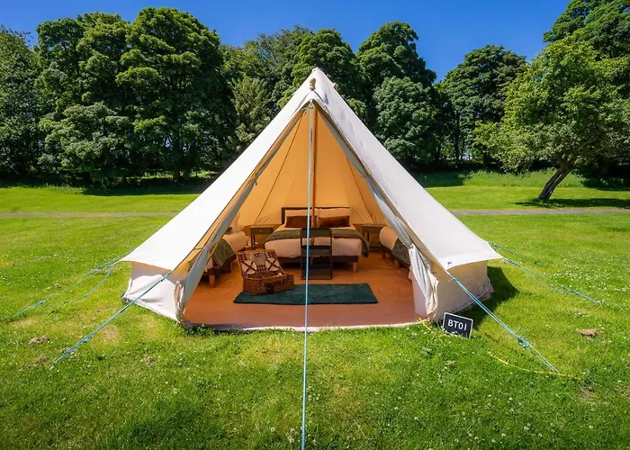 Estate Glamping Village Westport