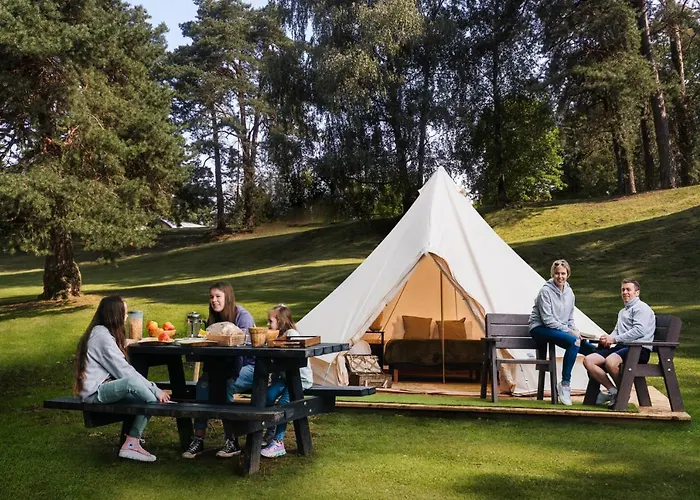 Estate Glamping Village Westport