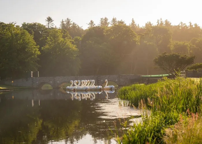 Estate Glamping Village Luxury tent Westport