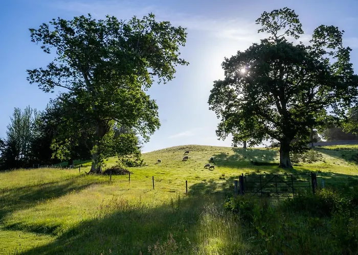 Estate Glamping Village Luxury tent Westport